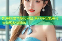 凯黑料尾气净化平台 高效降低氮氧化物与颗粒物排放