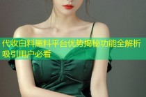 代收白料黑料平台优势揭秘功能全解析吸引用户必看