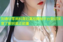 刘德华零黑料背后真相揭秘平台助你深度了解明星正能量