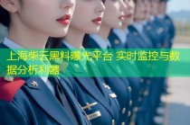 上海柴云黑料曝光平台 实时监控与数据分析利器