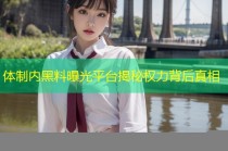 体制内黑料曝光平台揭秘权力背后真相