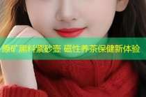 原矿黑料紫砂壶 磁性养茶保健新体验