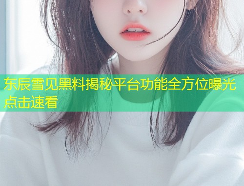 东辰雪见黑料揭秘平台功能全方位曝光点击速看  第1张