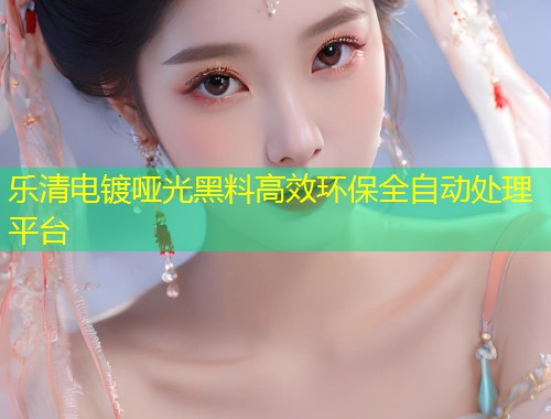 乐清电镀哑光黑料高效环保全自动处理平台  第2张
