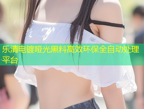 乐清电镀哑光黑料高效环保全自动处理平台  第1张