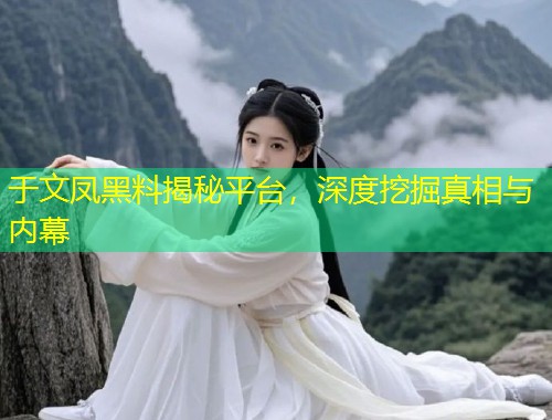 于文凤黑料揭秘平台，深度挖掘真相与内幕  第2张