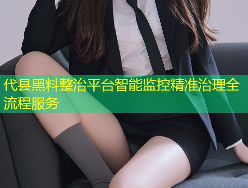 代县黑料整治平台智能监控精准治理全流程服务  第1张