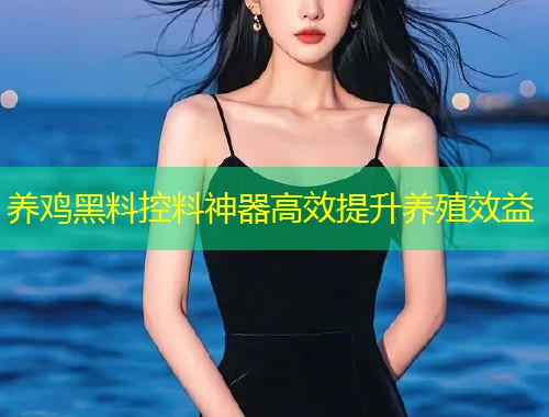 养鸡黑料控料神器高效提升养殖效益  第1张