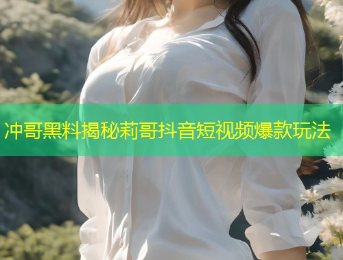 冲哥黑料揭秘莉哥抖音短视频爆款玩法  第1张