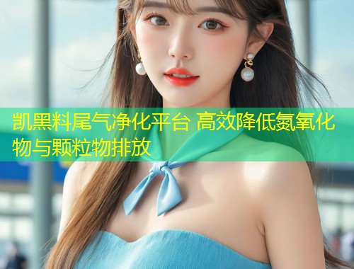 凯黑料尾气净化平台 高效降低氮氧化物与颗粒物排放  第1张