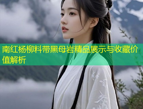 南红杨柳料带黑母岩精品展示与收藏价值解析  第1张